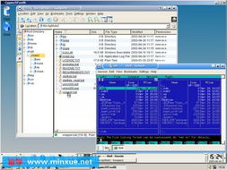 CygwinEasy2007光盤(pán)運(yùn)行版與Cygwin Release 2006 回顧經(jīng)典Windows軟件開(kāi)發(fā)與運(yùn)行平臺(tái)服務(wù)